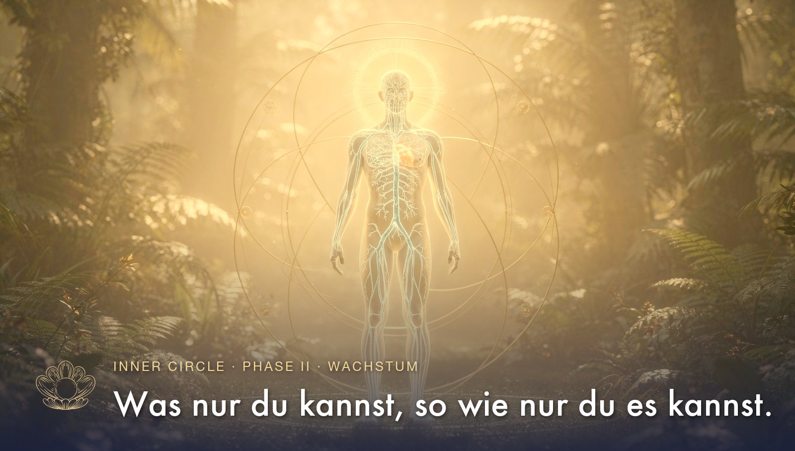 Phase II, Wachstum: die Mission kommt im Körper an. Was nur du kannst, so wie nur du es kannst.