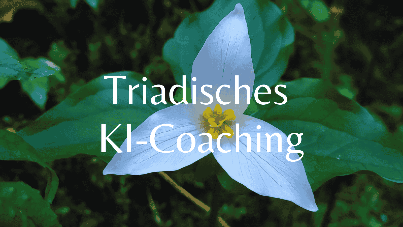 Vortrag: Triadisches KI-Coaching