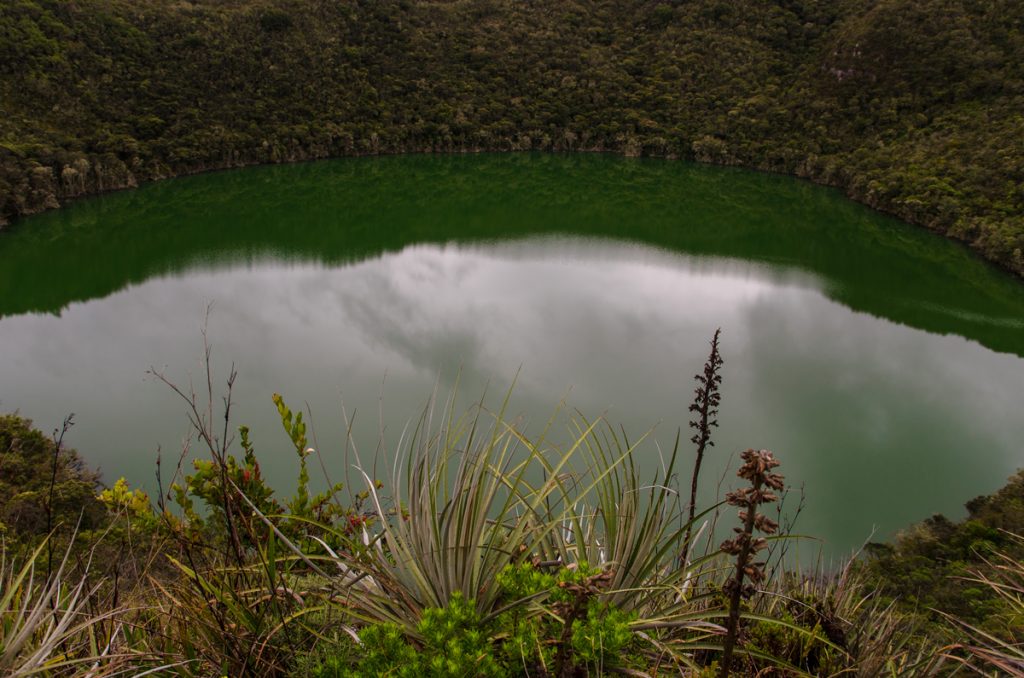 web-fb-YRP_0277-lagune-pflanzenwelt3200