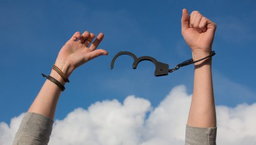 Freedom 1886402 1920