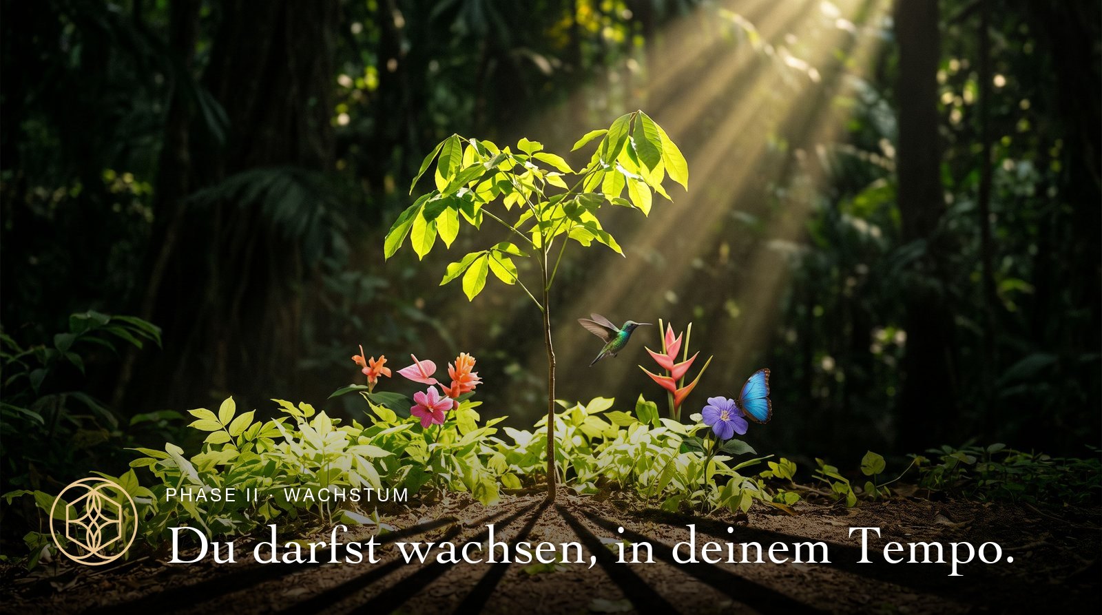 Phase II, Wachstum: Ein junger Baum im sonnigen Urwald mit Kolibri und Schmetterlingen. Du darfst wachsen, in deinem Tempo.